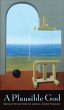 Plausible God (eBook, PDF) - Bild 1