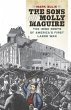 Sons of Molly Maguire (eBook, ePUB) - Bild 1