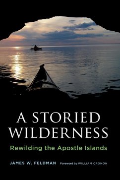 A Storied Wilderness (eBook, ePUB) - Feldman, James W.