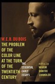 Problem of the Color Line at the Turn of the Twentieth Century (eBook, PDF)