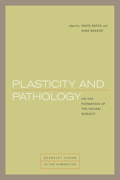Plasticity and Pathology (eBook, PDF) Plasticity and Pathology (eBook, PDF)