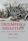 Triumphs and Disasters (eBook, ePUB)