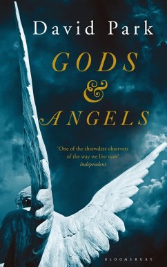 Gods and Angels (eBook, ePUB) - Park, David