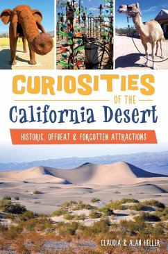 Cover Curiosities of the California Desert (eBook, ePUB)