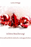 Schöne Bescherung! - Drei weihnachtliche lesbische Liebesgeschichten (eBook, ePUB)