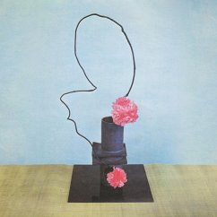 On Inhuman Spectacle - Methyl Ethel