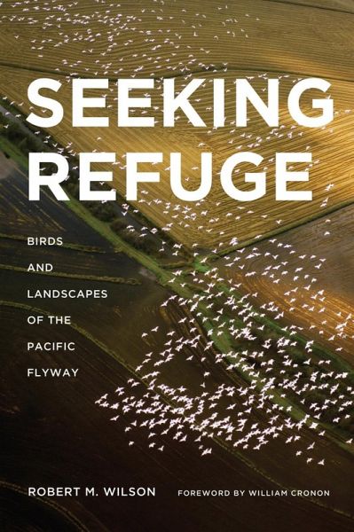 Seeking Refuge (eBook, ePUB) Seeking Refuge (eBook, ePUB)