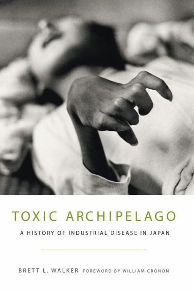 Toxic Archipelago (eBook, ePUB)