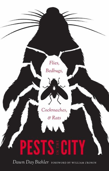Pests in the City (eBook, ePUB)