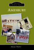 Amesbury (eBook, ePUB) Amesbury (eBook, ePUB)