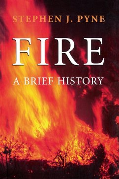 Cover Fire (eBook, PDF)