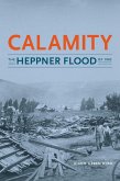 Calamity (eBook, ePUB)