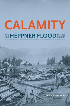 Calamity (eBook, ePUB) - Byrd, Joann Green