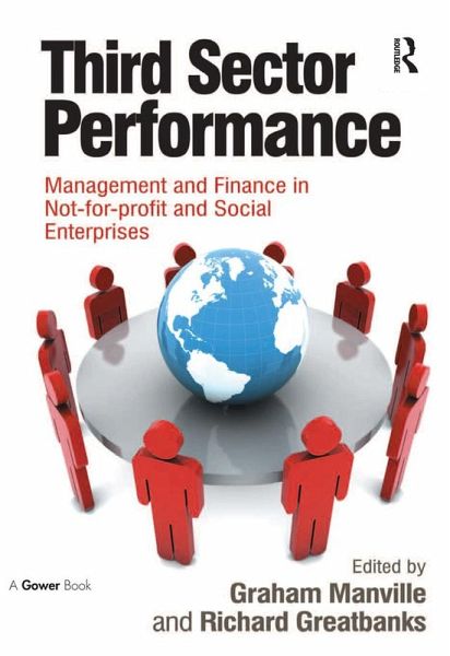 Third Sector Performance (eBook, ePUB)