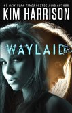 Waylaid (eBook, ePUB)