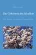 Das Geheimnis des Schabbat - Bild 1