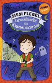 Gruselnacht im Klassenzimmer / Emil und seine Freunde Bd.1 (eBook, ePUB)