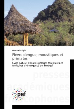 Fièvre dengue, moustiques et primates