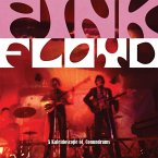 Pink Floyd: A Kaleidoscope of Conundrums