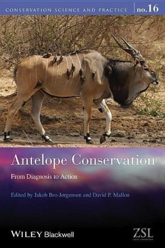 Antelope Conservation