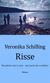 Risse (eBook, ePUB)