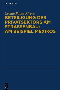 Beteiligung des Privatsektors am Straßenbau: Am Beispiel Mexiko - Ponce Rivera, Cecilia