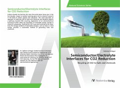 Semiconductor/Electrolyte Interfaces for CO2 Reduction - Schlager, Stefanie