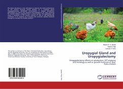 Uropygial Gland and Uropygialectomy