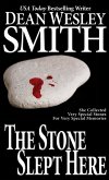 The Stone Slept Here (eBook, ePUB)