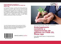 Embriogénesis somática y regeneración de plantas en FHIA¿25, Musa spp