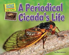 A Periodical Cicada's Life - Lawrence, Ellen