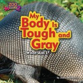 My Body Is Tough and Gray (Armadillo)