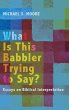 What Is This Babbler Trying to Say? - Bild 1