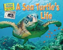 A Sea Turtle's Life - Lawrence, Ellen