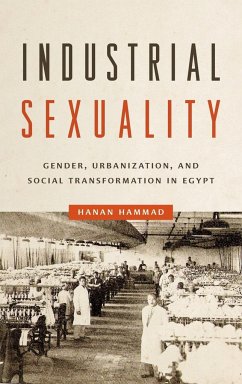 Industrial Sexuality - Hammad, Hanan