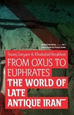 From Oxus to Euphrates: The World of Late Antique Iran