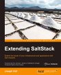 Extending SaltStack - Bild 1