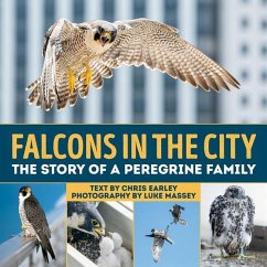 Falcons in the City - Earley, Chris