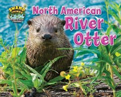 North American River Otter - Lawrence, Ellen
