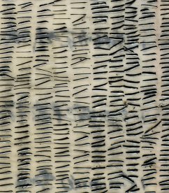 Cover Catherine Eaton Skinner: 108