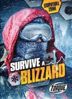 Survive a Blizzard - Bowman, Chris