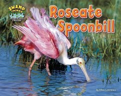 Roseate Spoonbill - Lawrence, Ellen