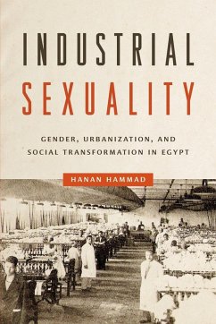 Industrial Sexuality - Hammad, Hanan