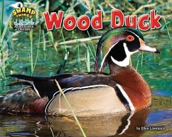 Wood Duck - Lawrence, Ellen