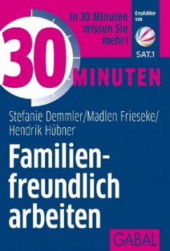 30 Minuten Familienfreundlich arbeiten - Demmler, Stefanie;Hübner, Hendrik;Frieseke, Madlen