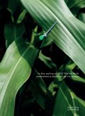 In the Spring of 2017 Martin Roth Published A Selection of His Works In the Spring of 2017 Martin Roth Published A Selection of His Works