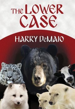 The Lower Case (Octavius Bear Book 4) - Demaio, Harry