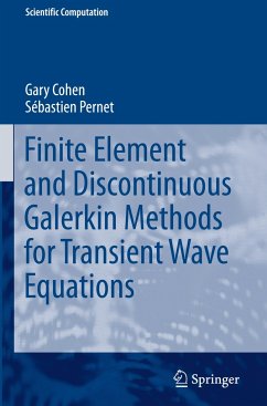 Finite Element and Discontinuous Galerkin Methods for Transient Wave Equations - Cohen, Gary;Pernet, Sébastien