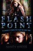 Flash Point (eBook, ePUB)