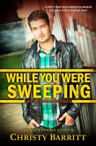 While You Were Sweeping (eBook, ePUB)